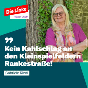 Kein Kahlschlag an der Rankestraße