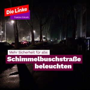 Schimmelbuschstraße beleuchten